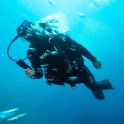 Combinaison Semi-étanche Femme Seac Masterdry 7mm -Plongee Sous Boutique combinaison semi etanche femme seac masterdry 7mm 9